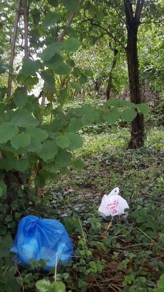 gallery/20191003_182914